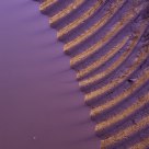 Ribbed pattern in mud from a Lake Powell flash flood